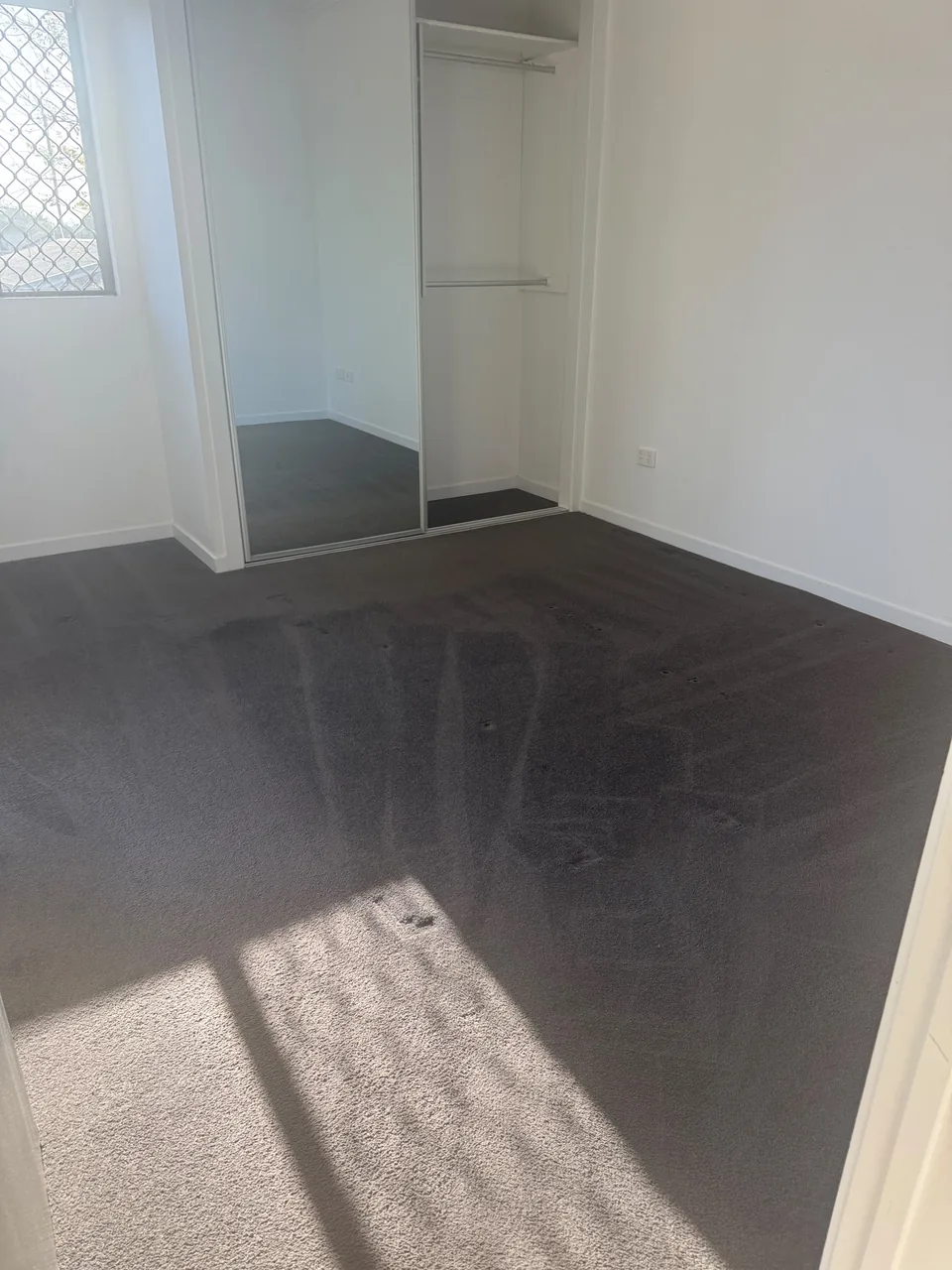 Empty carpeted room after cleaning